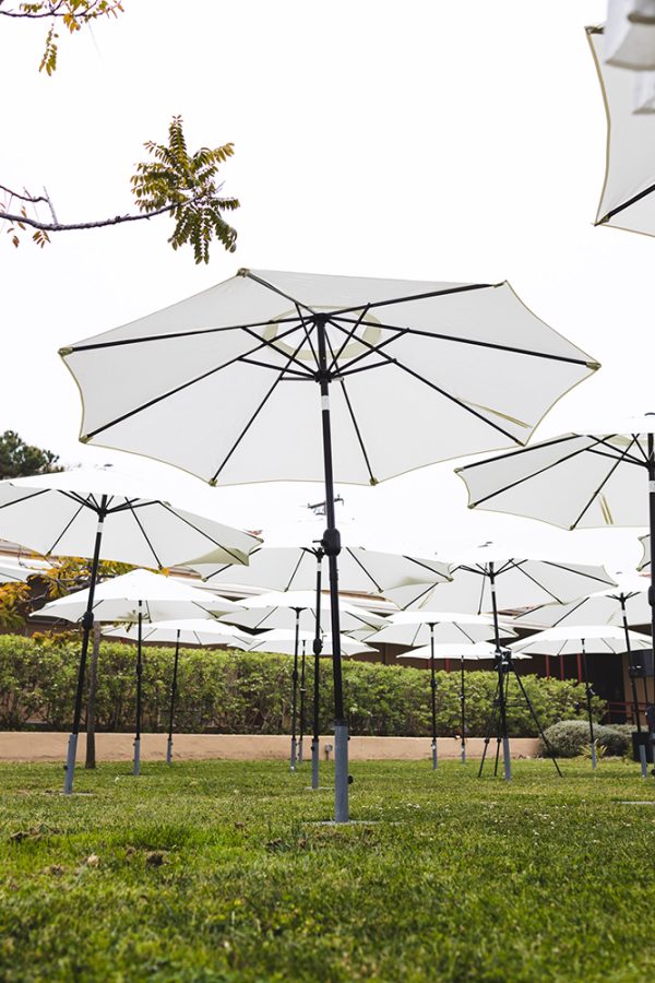 Natural Market Umbrella Set