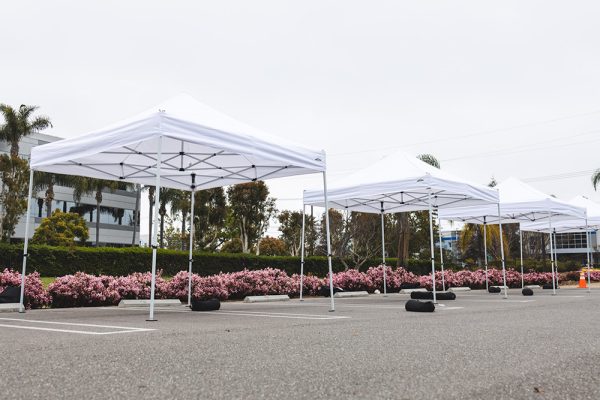 EZ Pop Up Canopy Rental – 10ft x 10ft - Image 2