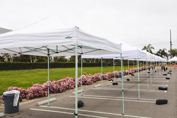 EZ Pop Up Canopy Rental – 10ft x 10ft - Image 3