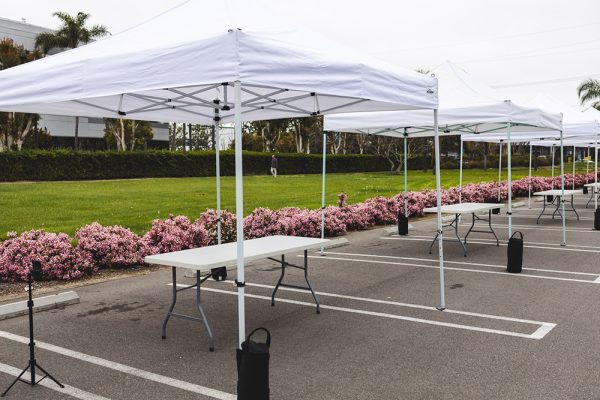 EZ Pop Up Canopy Rental – 10ft x 10ft