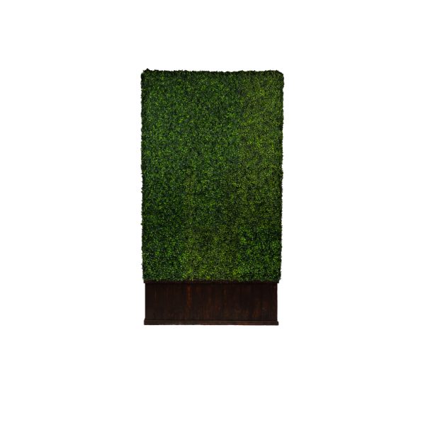 Green Hedge Wall