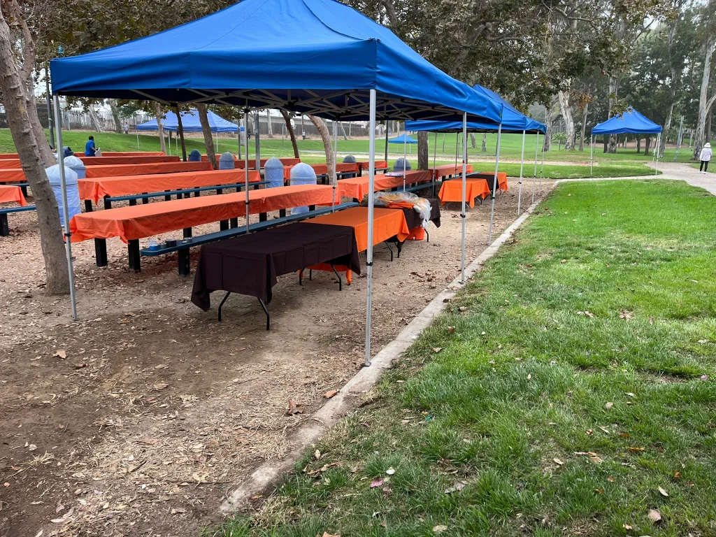 setup Service